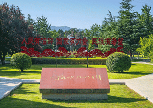 亚洲国产中文字幕在线视频综合